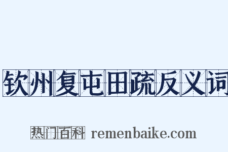 钦州复屯田疏反义词是什么意思的图片